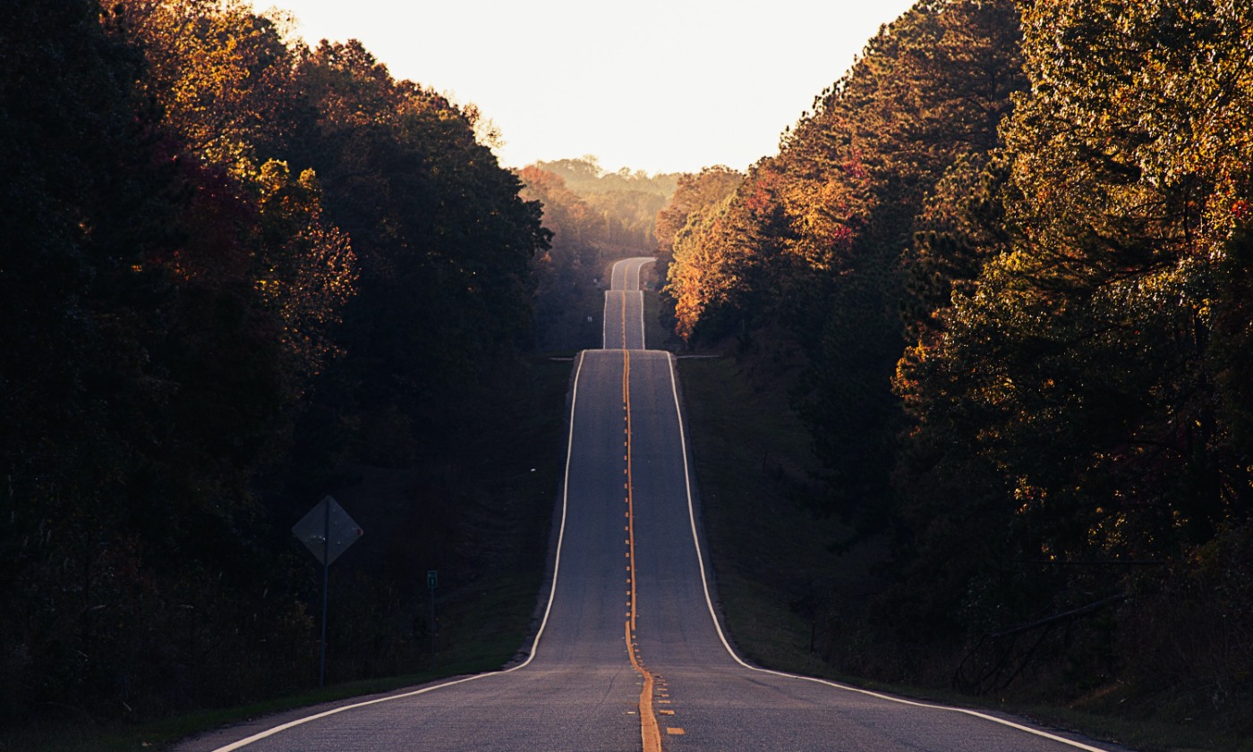 autumn long bumpy road